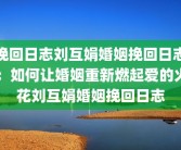 挽回日志刘互娟婚姻挽回日志：如何让婚姻重新燃起爱的火花刘互娟婚姻挽回日志