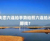 失恋六连拍手势拍照六连拍从那找？