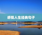 感慨人生经典句子
