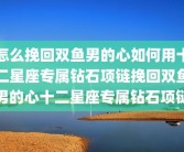 怎么挽回双鱼男的心如何用十二星座专属钻石项链挽回双鱼男的心十二星座专属钻石项链