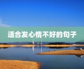 适合发心情不好的句子