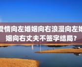 爱情向左婚姻向右浪漫向左婚姻向右丈夫不签字结局？