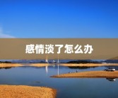 感情淡了怎么办