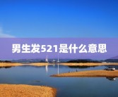 男生发521是什么意思