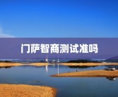 门萨智商测试准吗