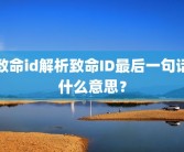 致命id解析致命ID最后一句话什么意思？