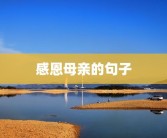 感恩母亲的句子