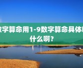 数字算命用1-9数字算命具体叫什么啊？