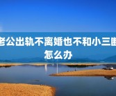 老公出轨不离婚也不和小三断怎么办