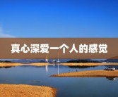 真心深爱一个人的感觉