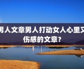 男人文章男人打动女人心里又伤感的文章？