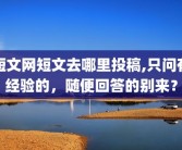 短文网短文去哪里投稿,只问有经验的，随便回答的别来？