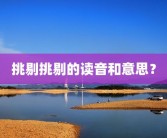 挑剔挑剔的读音和意思？