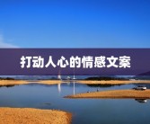 打动人心的情感文案