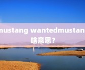 mustang wantedmustang啥意思？