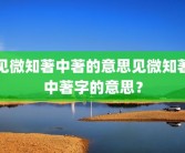 见微知著中著的意思见微知著中著字的意思？