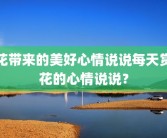 花带来的美好心情说说每天赏花的心情说说？