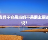 当妈不容易当妈不易朋友圈说说？