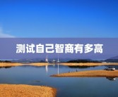 测试自己智商有多高