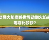 动燃火焰魔兽世界动燃火焰去哪刷比较快？