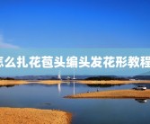 怎么扎花苞头编头发花形教程？
