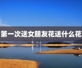 第一次送女朋友花送什么花