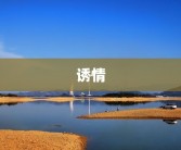 诱情
