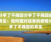 分手了不挽回分手了不挽回的男生：如何面对结束的感情分手了不挽回的男生