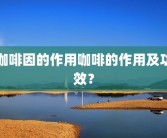 咖啡因的作用咖啡的作用及功效？