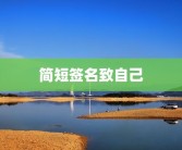 简短签名致自己