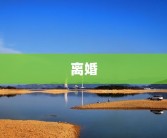 离婚