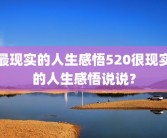 最现实的人生感悟520很现实的人生感悟说说？