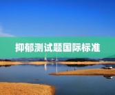 抑郁测试题国际标准