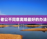 老公不同意离婚最好的办法