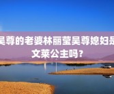 吴尊的老婆林丽莹吴尊媳妇是文莱公主吗？