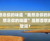 想念你的味道“我想念你的好，想念你的味道”是那首歌的歌词？