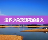 送多少朵玫瑰花的含义