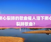 撕心裂肺的歌曲催人泪下撕心裂肺歌曲？