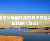 感恩父母最朴实的句子感恩父母简短几句话？