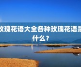 玫瑰花语大全各种玫瑰花语是什么？