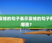 哀悼的句子表示哀悼的句子有哪些？