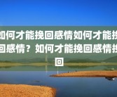 如何才能挽回感情如何才能挽回感情？如何才能挽回感情挽回