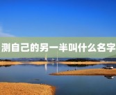 测自己的另一半叫什么名字