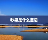 秒男是什么意思