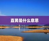 直男是什么意思