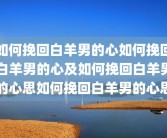 如何挽回白羊男的心如何挽回白羊男的心及如何挽回白羊男的心思如何挽回白羊男的心思