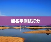 起名字测试打分