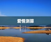 爱情测算