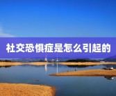 社交恐惧症是怎么引起的