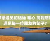 感恩遇见的话语 暖心 简短感恩遇见每一位朋友的句子？